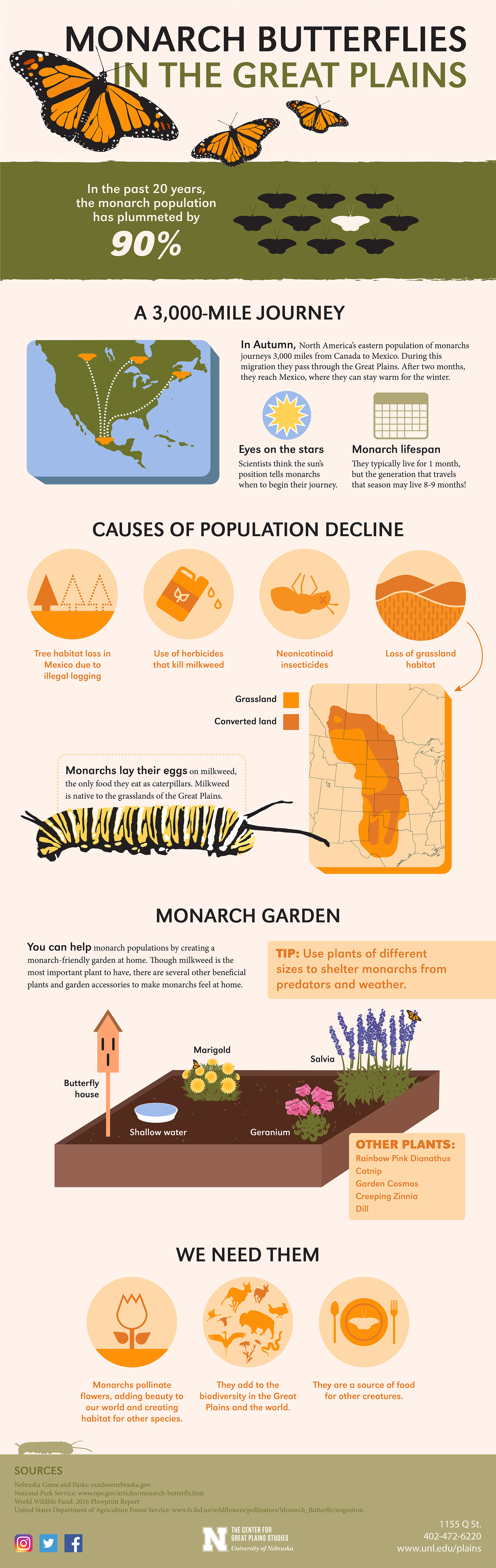 Monarchs in the Great Plains